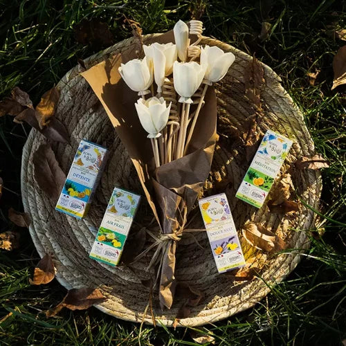 Organic essential oil blend collection with reed diffuser on wicker tray – purifying home aromatherapy. Made in France | LaPeNu