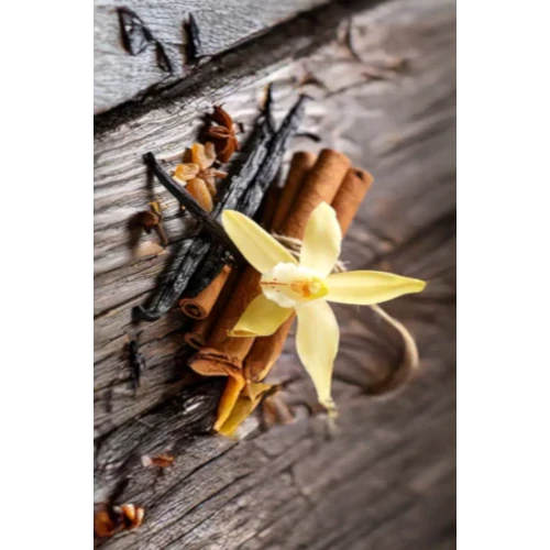 Vanilla pods and cinnamon sticks — warm spicy amber notes of organic oriental eau de toilette | LaPeNu