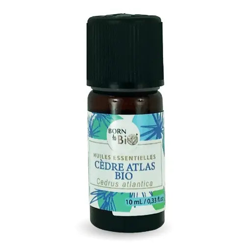 Organic Essential Oil - Atlas Cedar