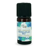 Organic Essential Oil - Atlas Cedar