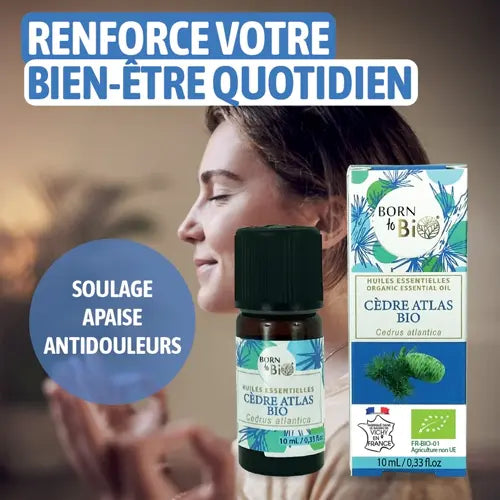 Organic Essential Oil - Atlas Cedar