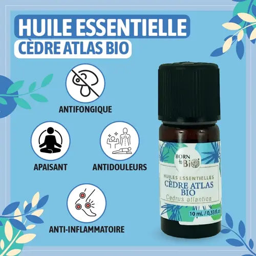 Organic Essential Oil - Atlas Cedar