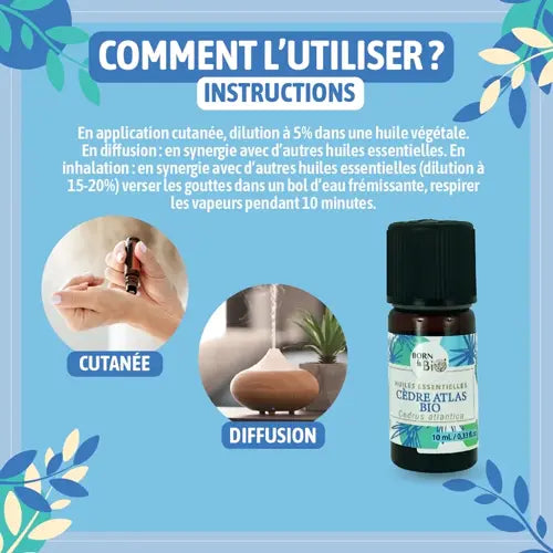 Organic Essential Oil - Atlas Cedar
