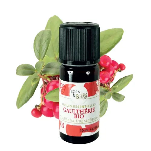 Organic Essential Oil - Fragrant Wintergreen