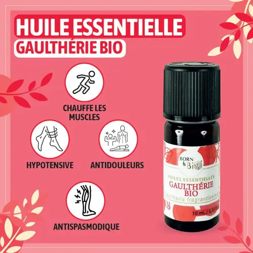 Organic Essential Oil - Fragrant Wintergreen