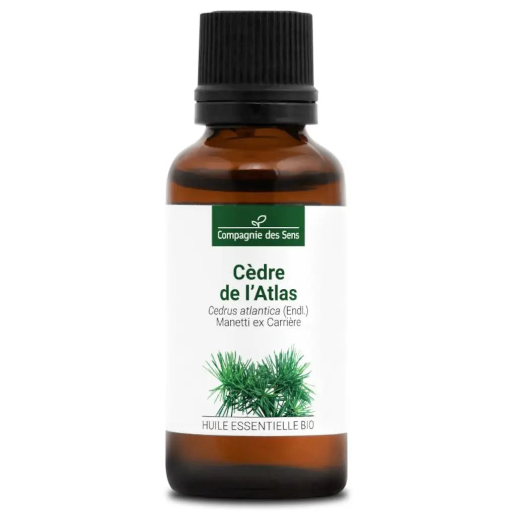 Organic Atlas cedarwood oil for hair and scalp care, aromatic diffusion and traditional moth-repellent wardrobe use | LaPeNu