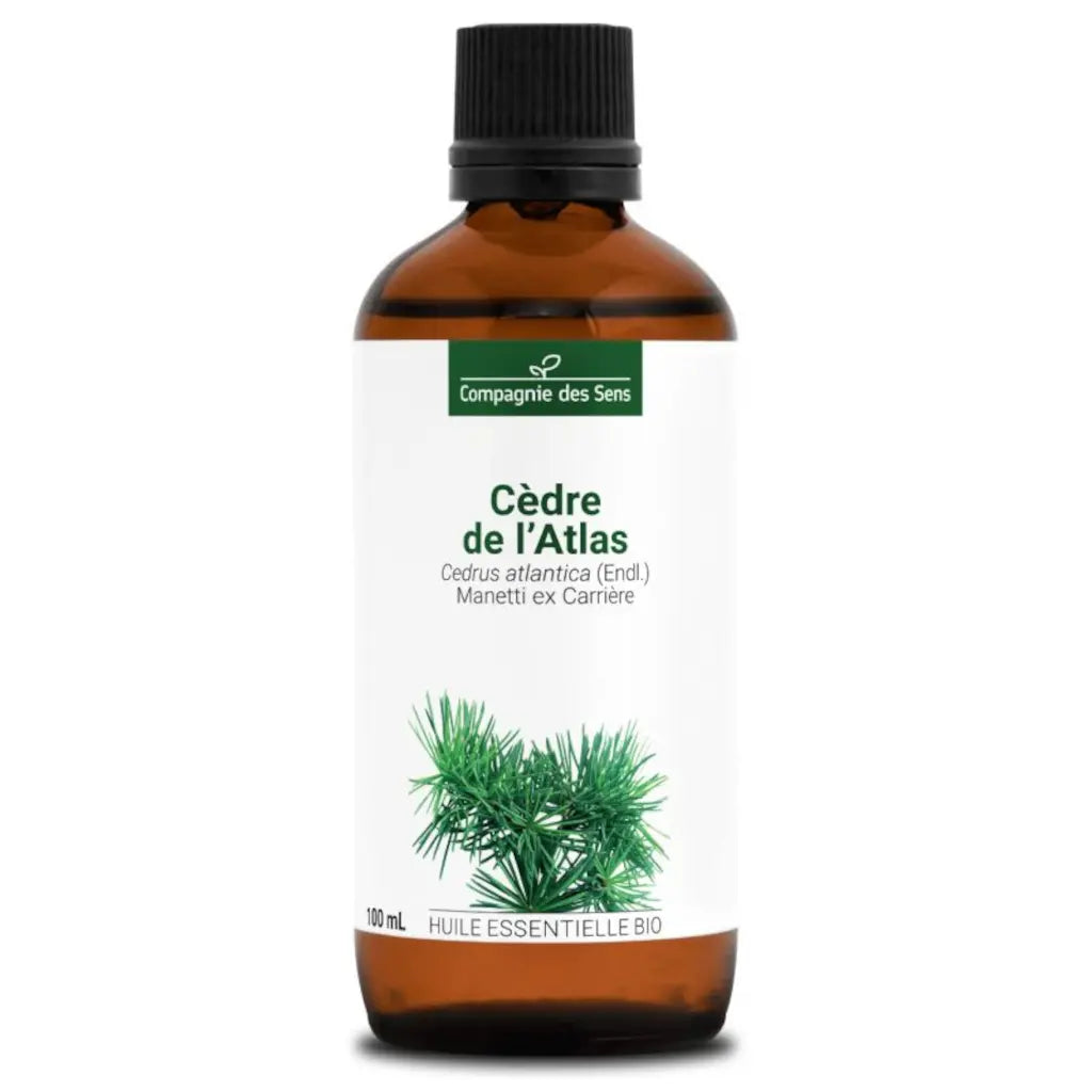 Atlas cedarwood essential oil for oily and combination hair, scalp balance and dandruff-prone hair care | LaPeNu