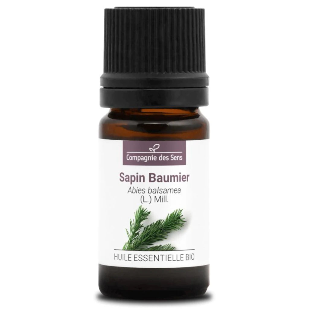 Organic Balsam Fir essential oil from Canadian needles, with a fresh, resinous and balsamic evergreen aroma | LaPeNu