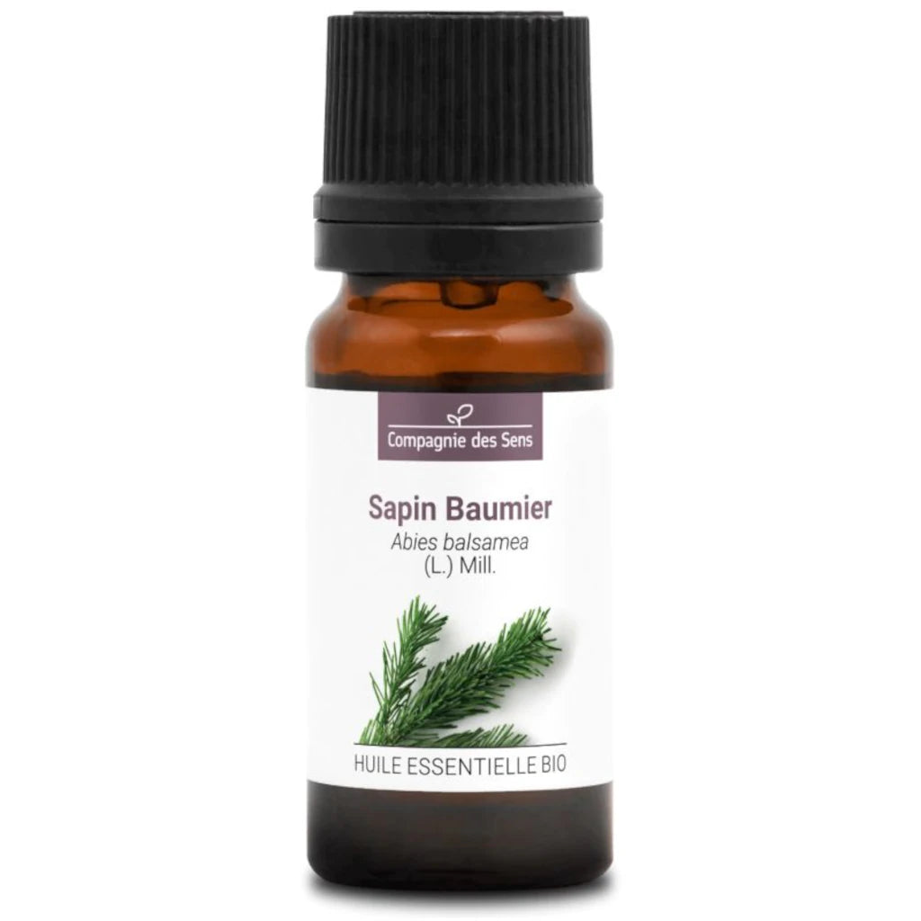 Ecocert-certified organic Abies balsamea needle oil with alpha-pinene, beta-pinene and naturally balsamic notes | LaPeNu