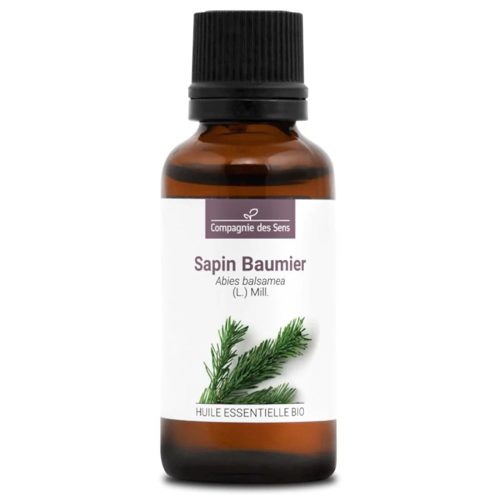 Refreshing organic Balsam Fir essential oil for conifer room fragrance and properly diluted body massage blends | LaPeNu