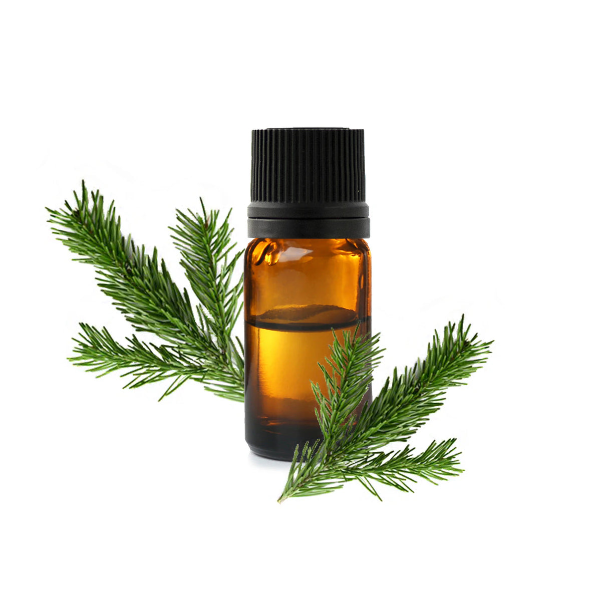 Canadian Balsam Fir needle oil with an energizing forest aroma for diffusion, aromatic routines and diluted massage | LaPeNu