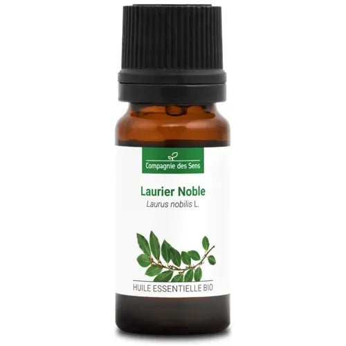 Certified Organic Bay Laurel / Laurus nobilis Essential Oil – Focus, Stress Relief, Nervous System Balance | LaPeNu