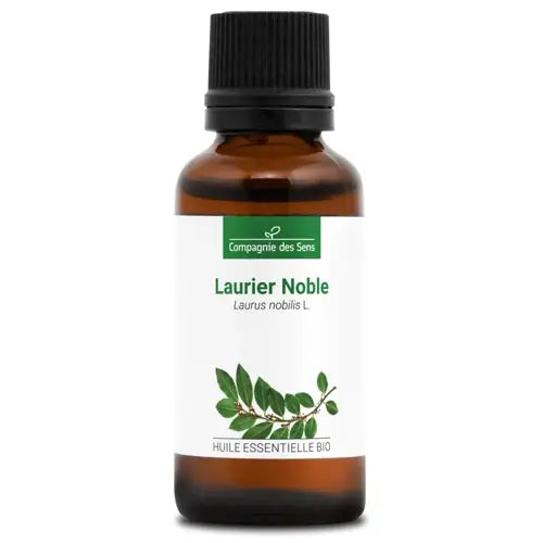 Certified Organic Bay Laurel Essential Oil – Antifungal, Oral Hygiene, Aromatherapy, Therapy-Grade | LaPeNu