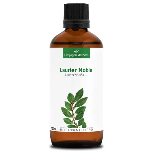 Certified Organic Bay Laurel Essential Oil – Digestive Comfort, α-Terpineol, Terpinyl Acetate | LaPeNu
