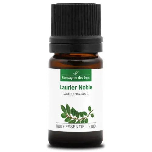 Certified Organic Bay Laurel Essential Oil – Antibacterial, Antiviral, ENT & Oral Care | LaPeNu