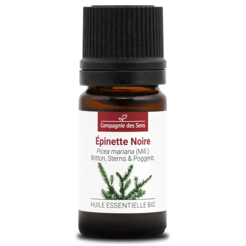 Organic Black Spruce Essential Oil Picea mariana – tonic, anti-inflammatory, expectorant. Certified organic. 5 ml | LaPeNu