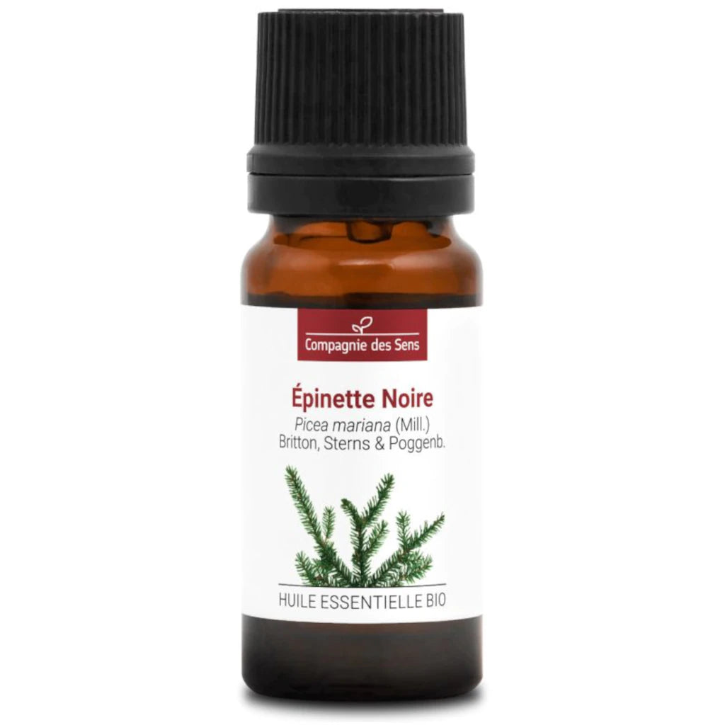 Organic Black Spruce Essential Oil Picea mariana – supports respiratory health, muscle recovery, and energy. 10 ml | LaPeNu