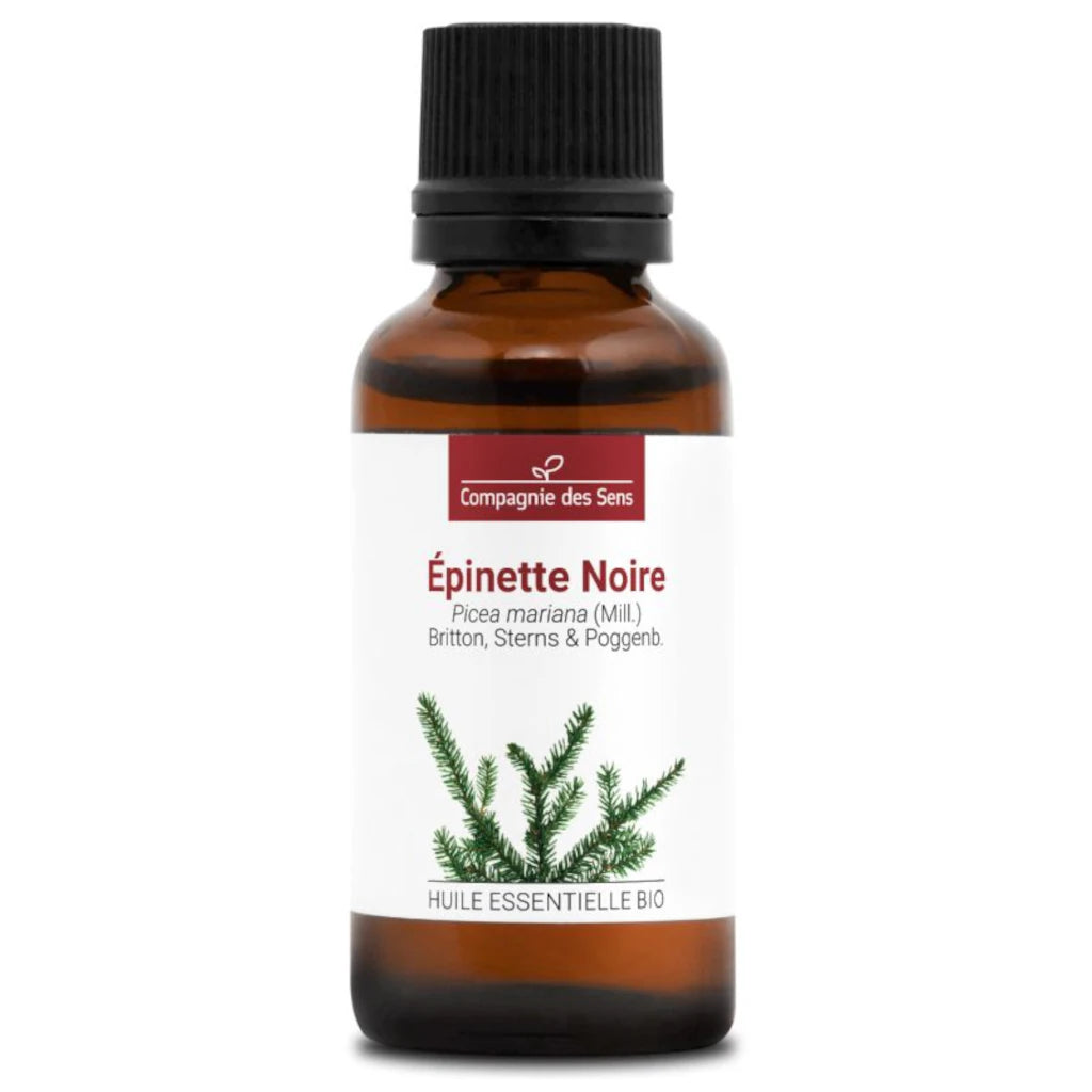 Organic Black Spruce Essential Oil Picea mariana – tonic, expectorant, anti-inflammatory. For diffusion, inhalation and massage. 30 ml | LaPeNu