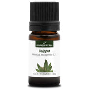 Certified organic Cajeput essential oil – supports clear breathing and respiratory comfort, 100% pure and chemotyped | LaPeNu