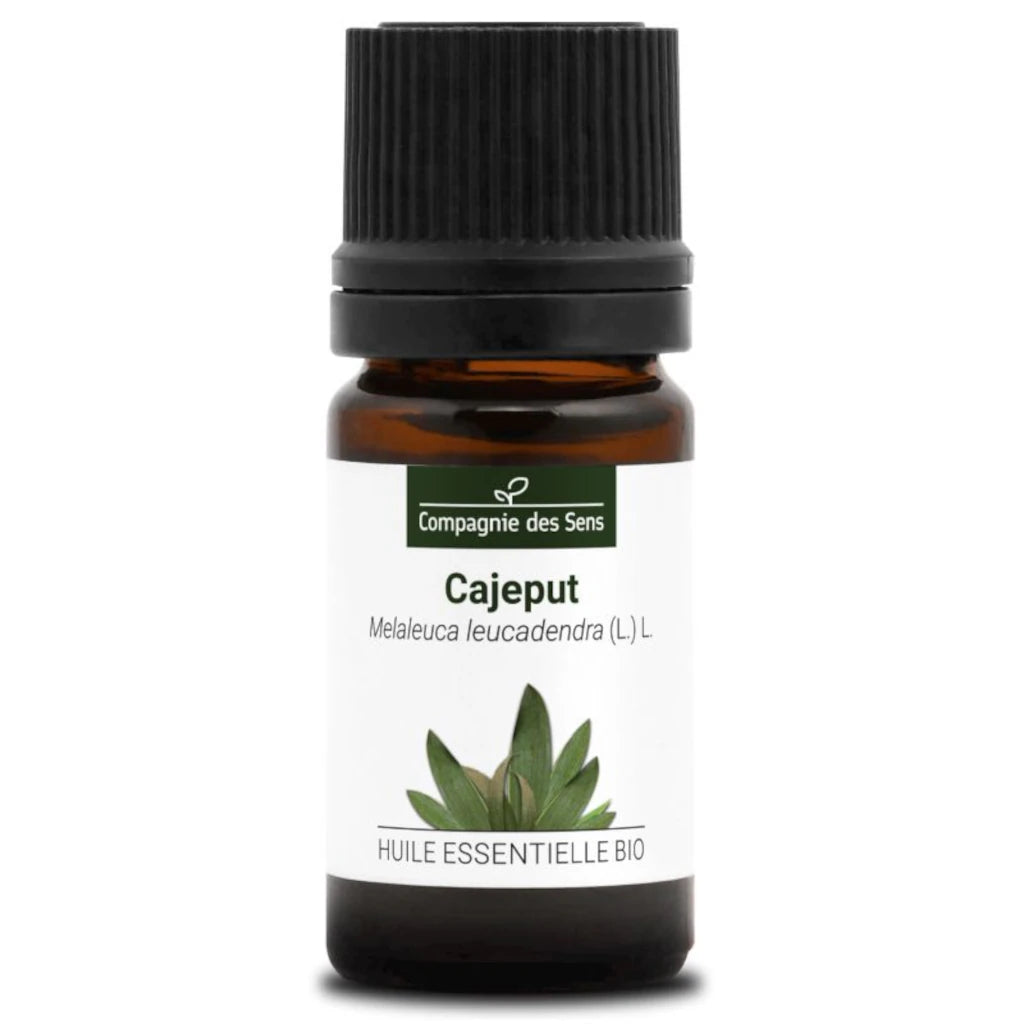 Certified organic Cajeput essential oil – supports clear breathing and respiratory comfort, 100% pure and chemotyped | LaPeNu