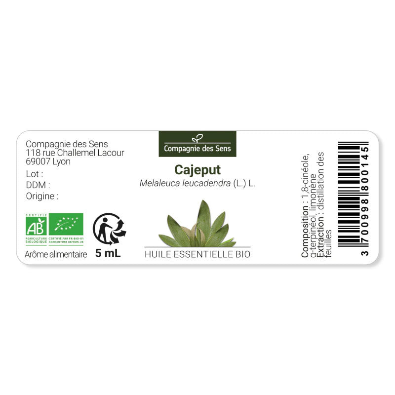 Certified organic Cajeput essential oil – fresh, camphoraceous aroma with antiseptic and toning benefits | LaPeNu