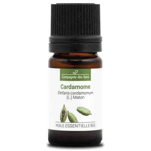 Organic Cardamom Essential Oil – spicy, warm scent – 100% pure, chemotyped, certified organic | LaPeNu