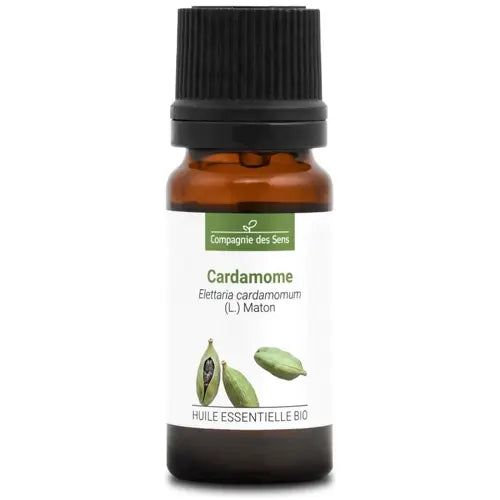 Organic Cardamom Essential Oil – Elettaria cardamomum – expectorant, carminative, neurotropic | LaPeNu