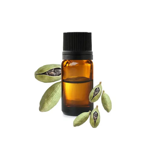 Organic Cardamom Essential Oil – steam distilled from seeds – digestive & antispasmodic | LaPeNu