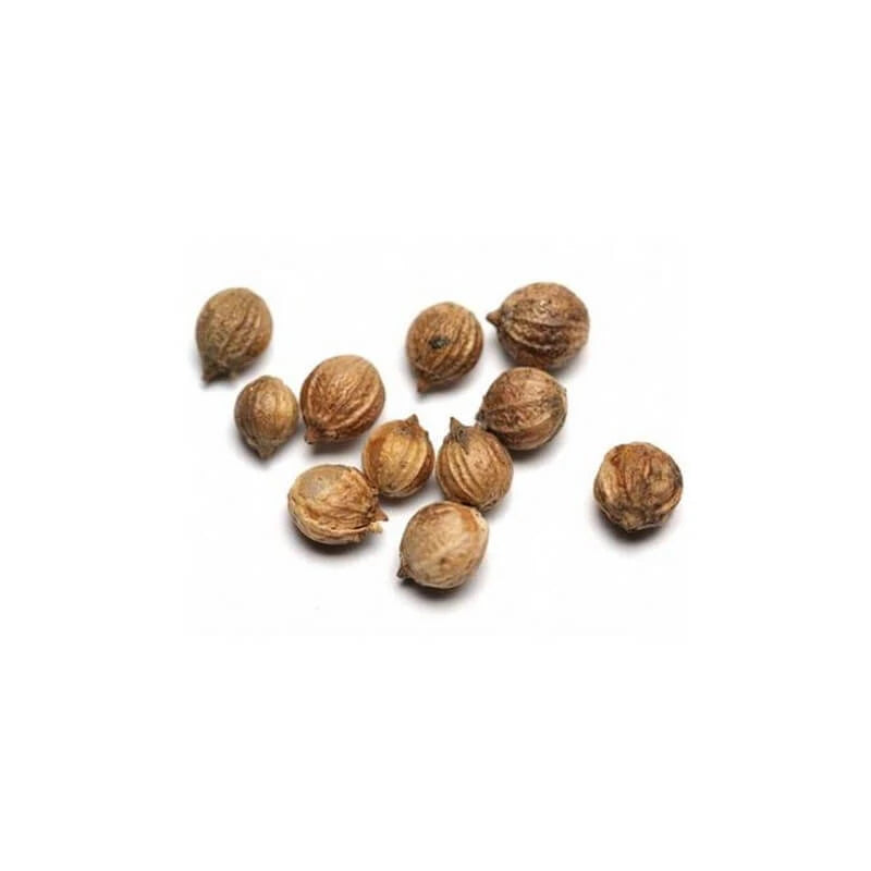 Organic Coriander Seed essential oil – neurotonic and uplifting, sweet floral-woody spicy scent. Food-grade, oral use | LaPeNu