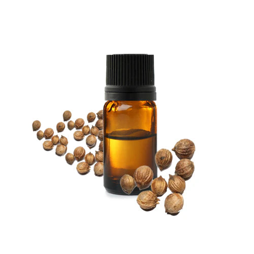 Organic Coriander Seed essential oil – anti-infectious, antibacterial, analgesic. Linalool 65–78%, chemotyped, therapy-grade | LaPeNu