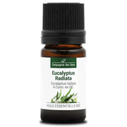 Organic Essential Oil - Eucalyptus Radiata