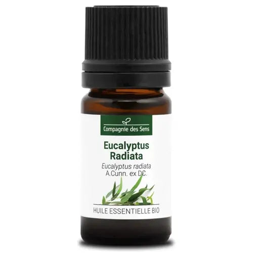 Organic Essential Oil - Eucalyptus Radiata
