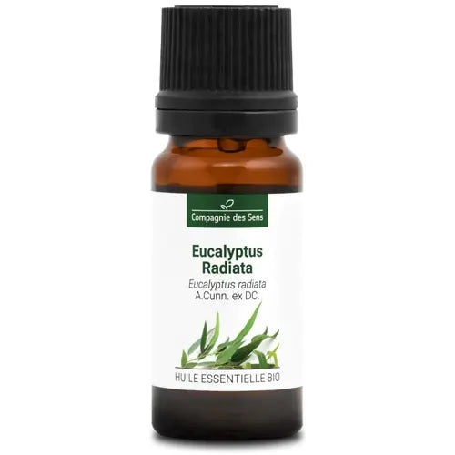 Organic Essential Oil - Eucalyptus Radiata