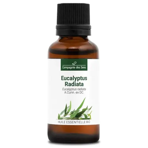 Organic Essential Oil - Eucalyptus Radiata