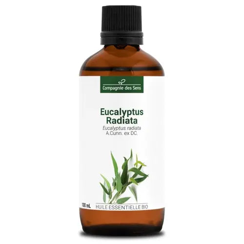 Organic Essential Oil - Eucalyptus Radiata