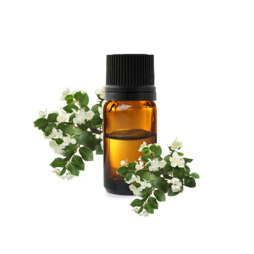 Pure chemotyped Green Myrtle essential oil with a green, herbaceous and gently camphoraceous aromatic profile | LaPeNu