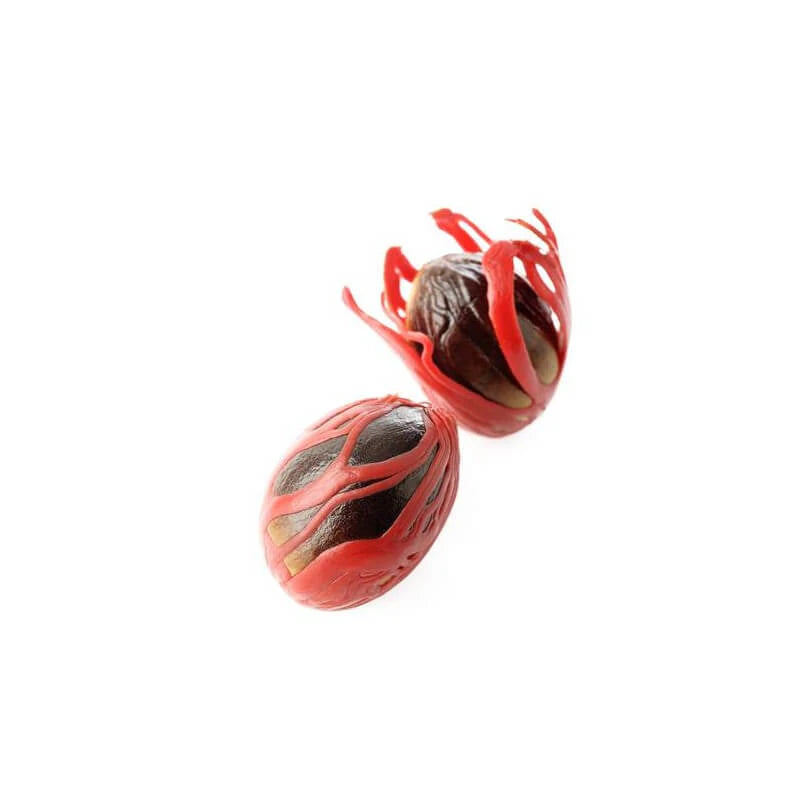 Organic nutmeg essential oil traditionally used for mental fatigue, energy and vitality in aromatherapy blends | LaPeNu