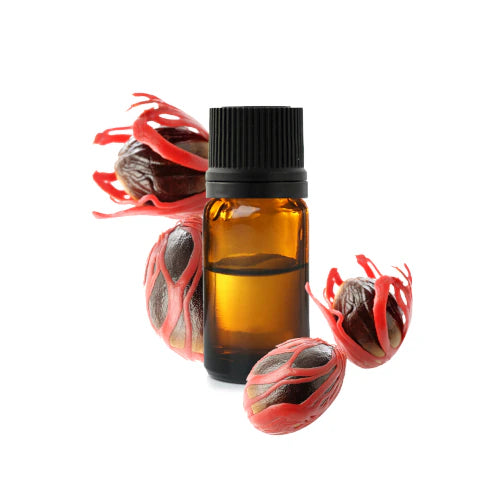 Steam-distilled organic nutmeg essential oil, rich in sabinene and pinenes, with warm spicy woody notes | LaPeNu