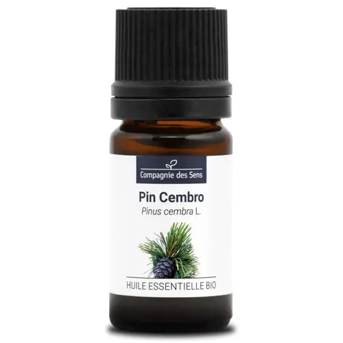Organic Essential Oil - Pinus Cembra