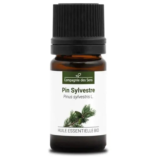 Organic Essential Oil - Scots Pine