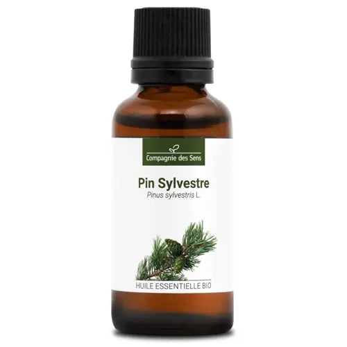 Organic Essential Oil - Scots Pine