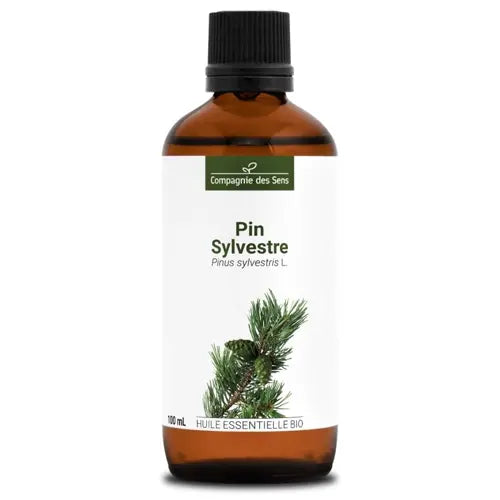 Organic Essential Oil - Scots Pine