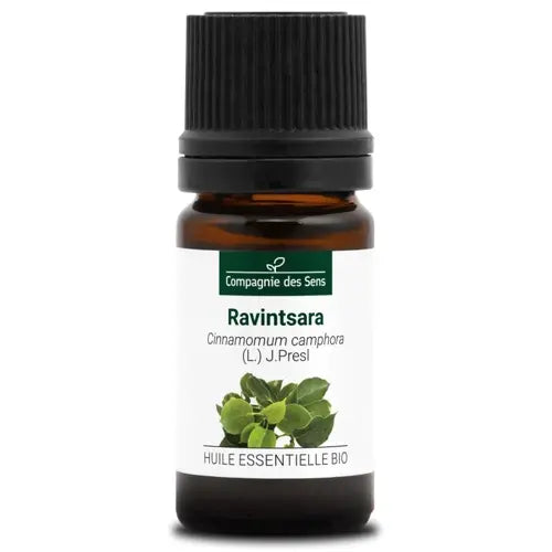 Organic Essential Oil - Ravintsara