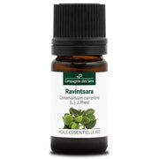 Organic Essential Oil - Ravintsara