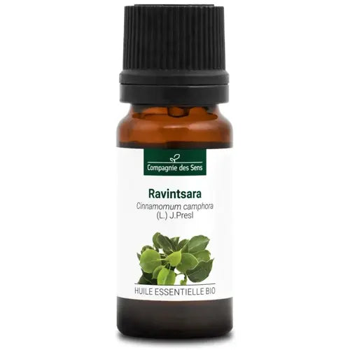 Organic Essential Oil - Ravintsara