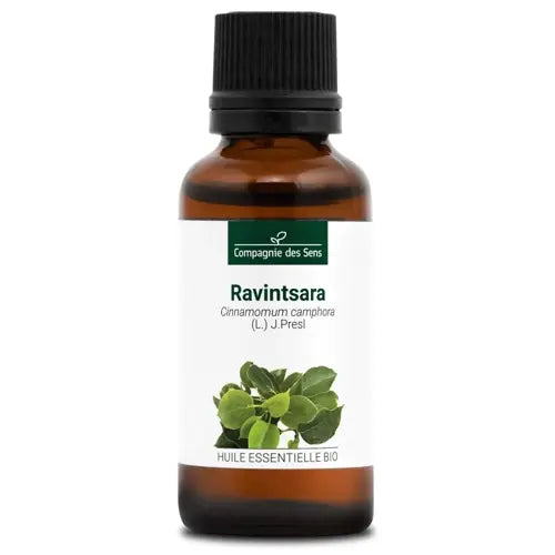 Organic Essential Oil - Ravintsara