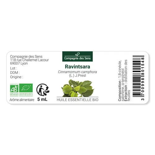 Organic Essential Oil - Ravintsara