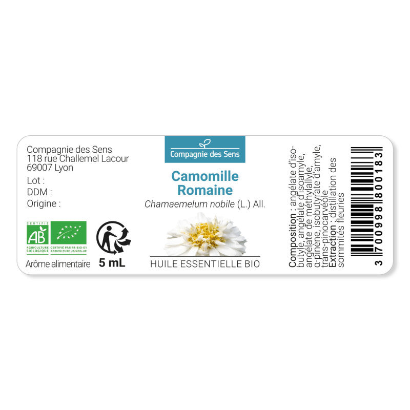 Organic Essential Oil - Roman Chamomile