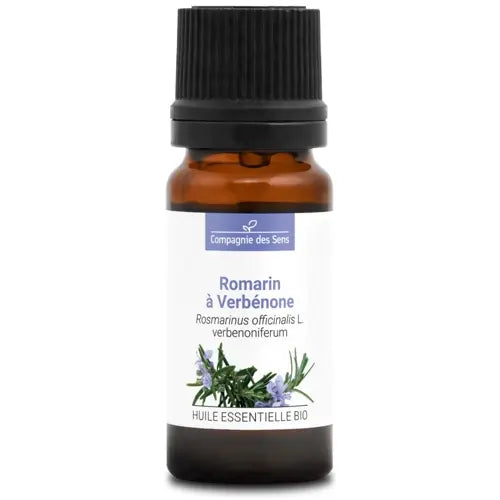 Organic Essential Oil - Rosemary Verbenone