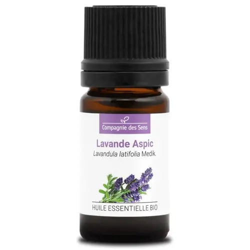 Organic Essential Oil - Spike Lavender